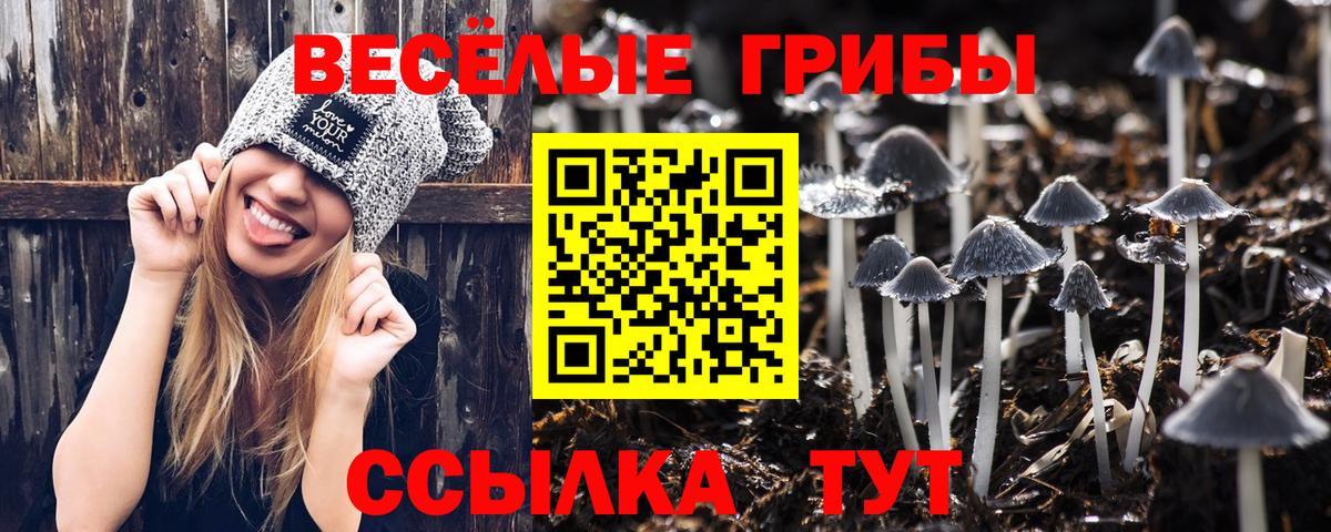 Псилоцибиновые грибы GOLDEN TEACHER  Псилоцибиновые грибы MAGIC MUSHROOMS  Тольятти  Вход с VPN 